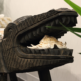 AboutSalonサロン情報